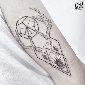 tatuaje_brazo_craneo_cabra_ferran_torre_logiabarcelona  